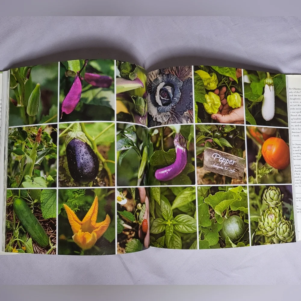 American Grown by Michelle Obama hardcover book EUC - Picture 4 of 5